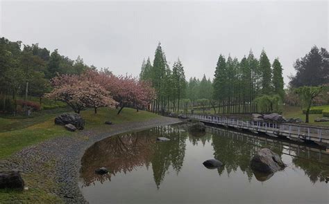 泰州有哪些公園，談談公園與城市生活之連結